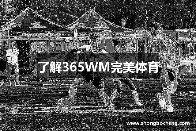 了解乐游