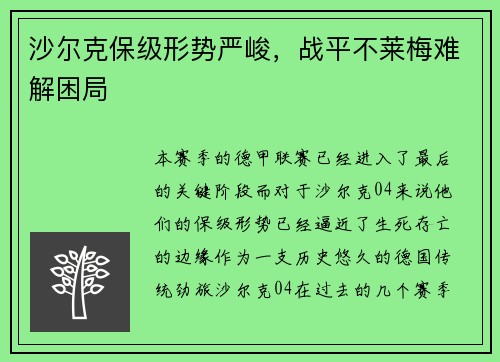 沙尔克保级形势严峻，战平不莱梅难解困局