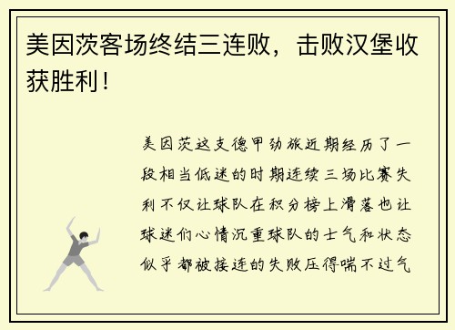 美因茨客场终结三连败，击败汉堡收获胜利！